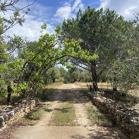 Rustica A 1km Del Mar
